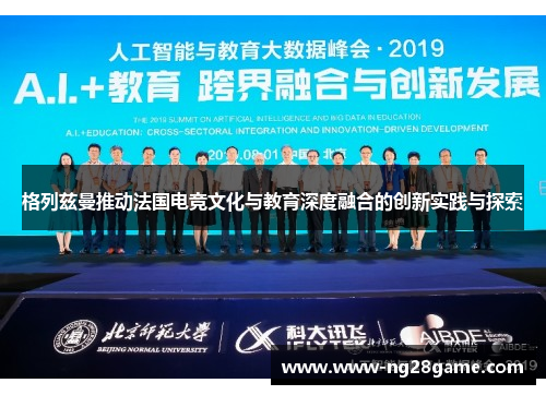 格列兹曼推动法国电竞文化与教育深度融合的创新实践与探索