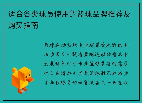 适合各类球员使用的篮球品牌推荐及购买指南